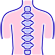 Disc Disease Management